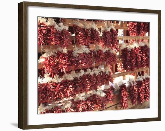 Dried Red Chillies, Chili Ristras, Santa Fe, New Mexico, United States of America, North America-Wendy Connett-Framed Photographic Print