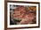 Dried Red Chillies for Sale at Pyin Oo Lwin (Pyin U Lwin) Market, Myanmar (Burma), Asia-Matthew Williams-Ellis-Framed Photographic Print