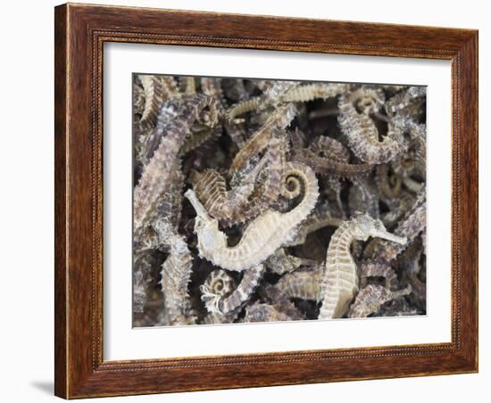 Dried Seahorses for Sale in Seafood Shop, Chinatown, Singapore, South East Asia-Amanda Hall-Framed Photographic Print