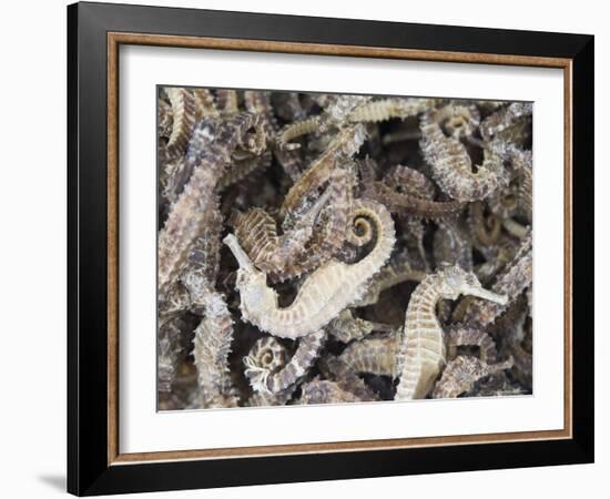 Dried Seahorses for Sale in Seafood Shop, Chinatown, Singapore, South East Asia-Amanda Hall-Framed Photographic Print