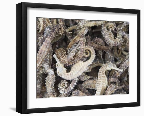 Dried Seahorses for Sale in Seafood Shop, Chinatown, Singapore, South East Asia-Amanda Hall-Framed Photographic Print