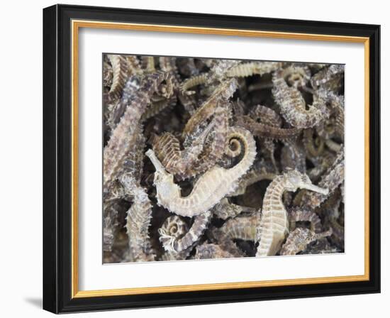 Dried Seahorses for Sale in Seafood Shop, Chinatown, Singapore, South East Asia-Amanda Hall-Framed Photographic Print