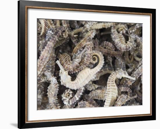 Dried Seahorses for Sale in Seafood Shop, Chinatown, Singapore, South East Asia-Amanda Hall-Framed Photographic Print