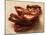 Dried Tomatoes-Eising Studio - Food Photo and Video-Mounted Photographic Print