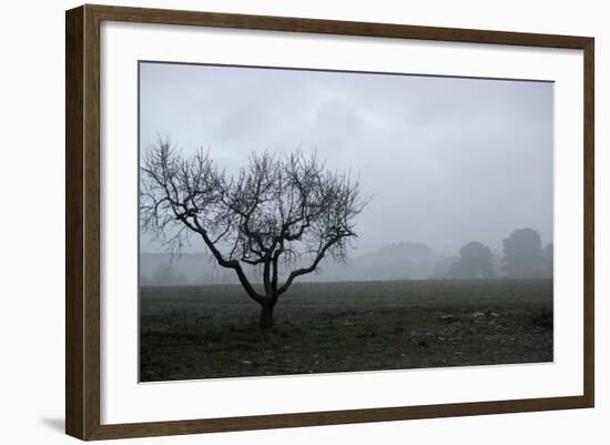 Dried Tree Vanish Into The Winter Fog-holbox-Framed Photographic Print