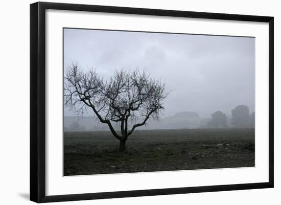 Dried Tree Vanish Into The Winter Fog-holbox-Framed Photographic Print