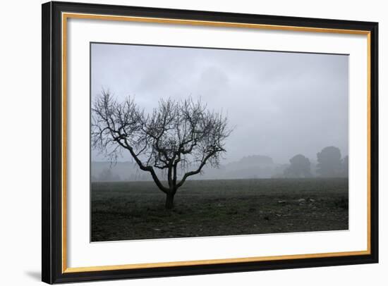 Dried Tree Vanish Into The Winter Fog-holbox-Framed Photographic Print