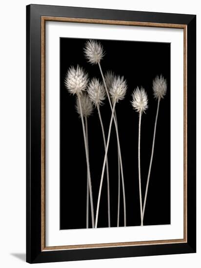 Dried Up-null-Framed Photographic Print