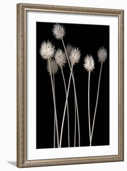 Dried Up-null-Framed Photographic Print