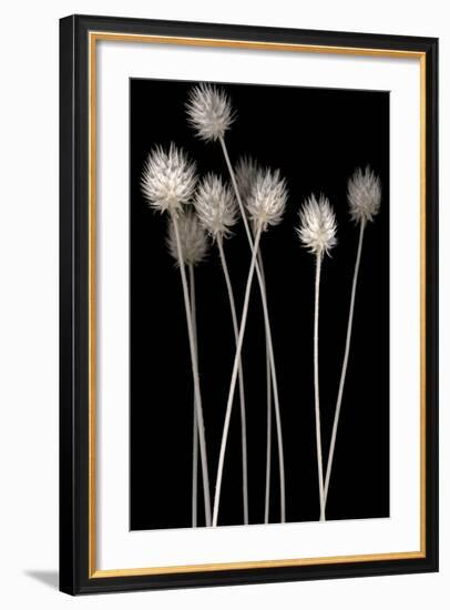Dried Up-null-Framed Photographic Print