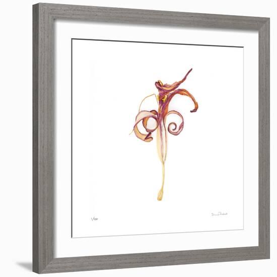 Dried Yellow Lily Abstract No 388-Shams Rasheed-Framed Giclee Print