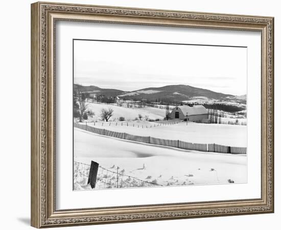 Drift Fence on Farmland-Marion Post Wolcott-Framed Photographic Print