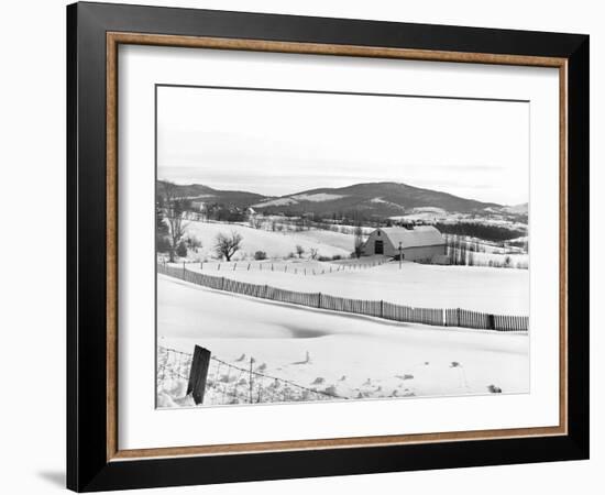 Drift Fence on Farmland-Marion Post Wolcott-Framed Photographic Print