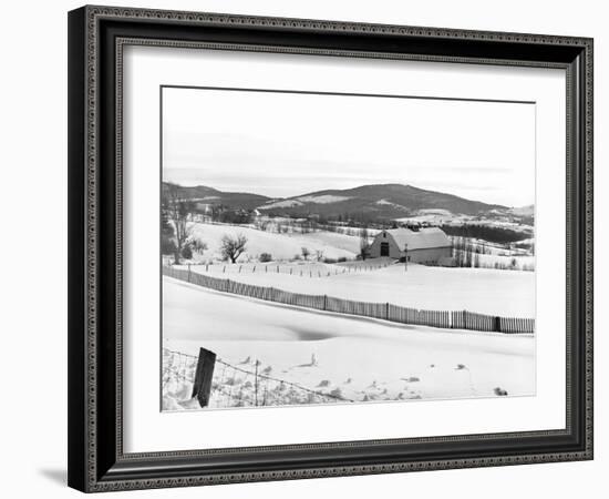 Drift Fence on Farmland-Marion Post Wolcott-Framed Photographic Print