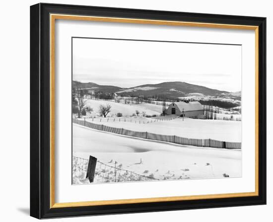 Drift Fence on Farmland-Marion Post Wolcott-Framed Photographic Print