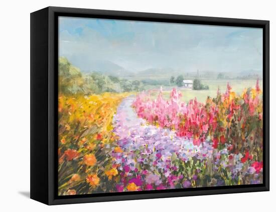 Drift Garden-Danhui Nai-Framed Stretched Canvas