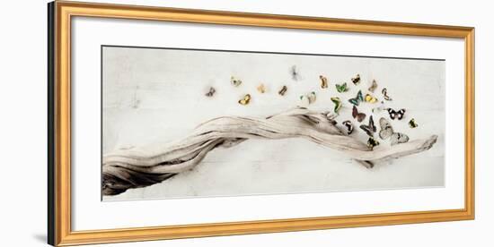 Drift of Butterflies-Ian Winstanley-Framed Art Print