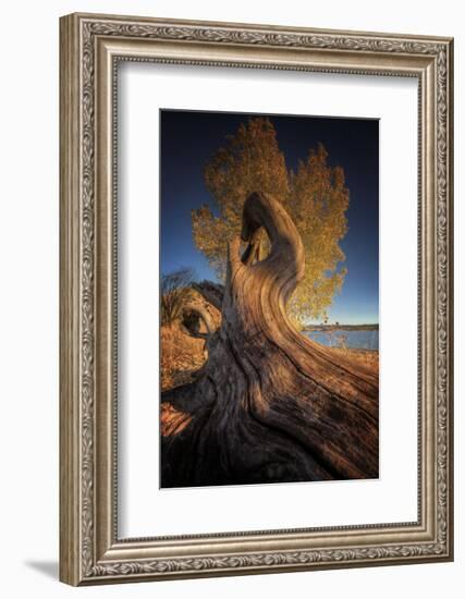 Drift-Bob Larson-Framed Art Print