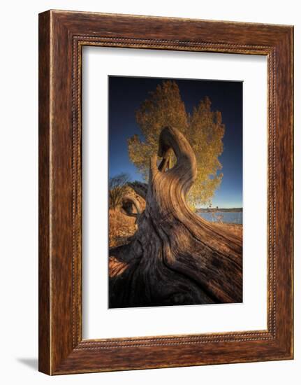 Drift-Bob Larson-Framed Art Print