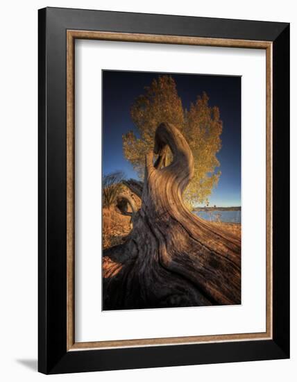 Drift-Bob Larson-Framed Art Print