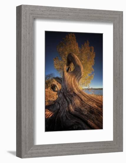 Drift-Bob Larson-Framed Art Print