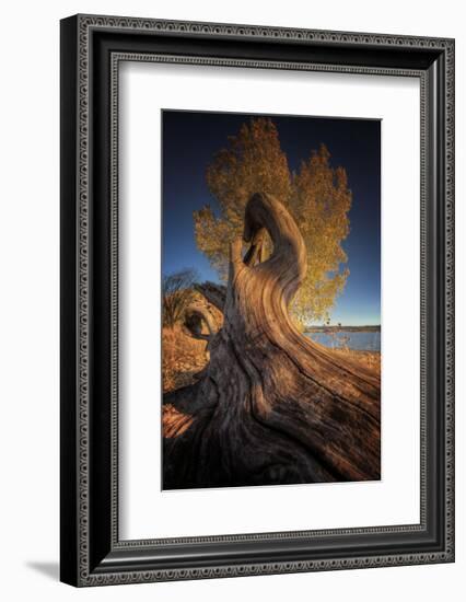 Drift-Bob Larson-Framed Art Print