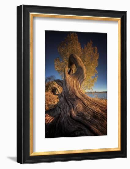 Drift-Bob Larson-Framed Art Print