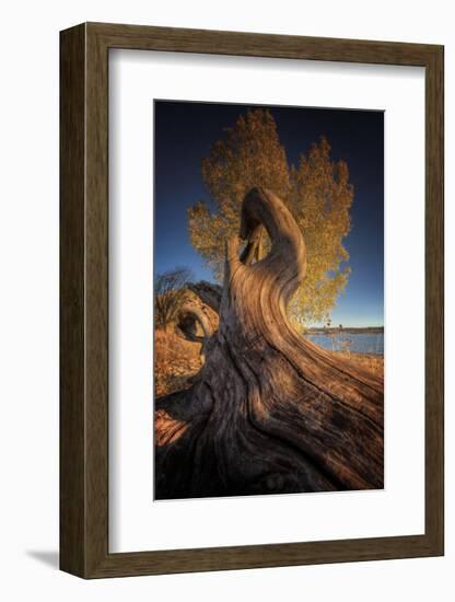 Drift-Bob Larson-Framed Art Print