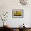 Drifting Toward a Dream-Bonita Williams Goldberg-Framed Giclee Print displayed on a wall
