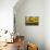 Drifting Toward a Dream-Bonita Williams Goldberg-Mounted Giclee Print displayed on a wall