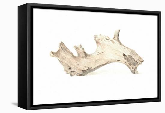 Driftwood, 2015-Lincoln Seligman-Framed Premier Image Canvas