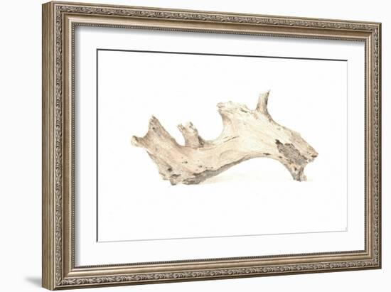 Driftwood, 2015-Lincoln Seligman-Framed Giclee Print