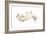 Driftwood, 2015-Lincoln Seligman-Framed Giclee Print