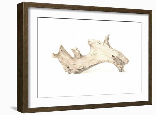 Driftwood, 2015-Lincoln Seligman-Framed Giclee Print