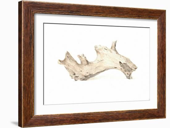 Driftwood, 2015-Lincoln Seligman-Framed Giclee Print