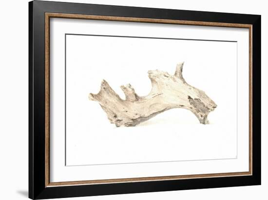 Driftwood, 2015-Lincoln Seligman-Framed Giclee Print