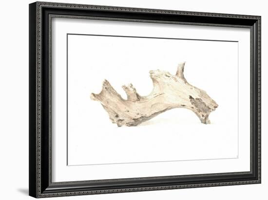 Driftwood, 2015-Lincoln Seligman-Framed Giclee Print