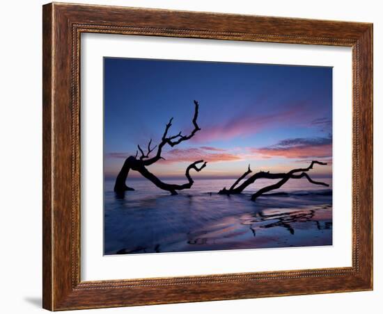 Driftwood Beach-PHBurchett-Framed Photographic Print