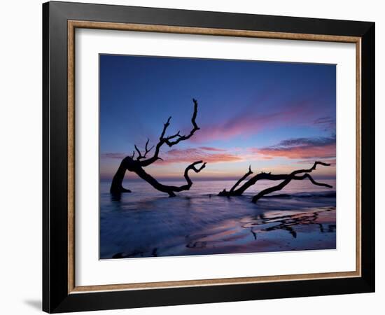 Driftwood Beach-PHBurchett-Framed Photographic Print