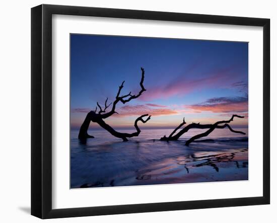 Driftwood Beach-PHBurchett-Framed Photographic Print