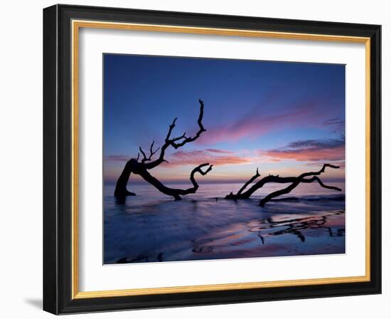Driftwood Beach-PHBurchett-Framed Photographic Print