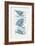 Driftwood Blue Fish I-Mercedes Lopez Charro-Framed Art Print