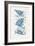 Driftwood Blue Fish I-Mercedes Lopez Charro-Framed Art Print