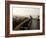 Driftwood Bridge Entrance from Trail, Kalaloch Beach, Olympic National Park, Washington, USA-Trish Drury-Framed Photographic Print