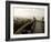 Driftwood Bridge Entrance from Trail, Kalaloch Beach, Olympic National Park, Washington, USA-Trish Drury-Framed Photographic Print