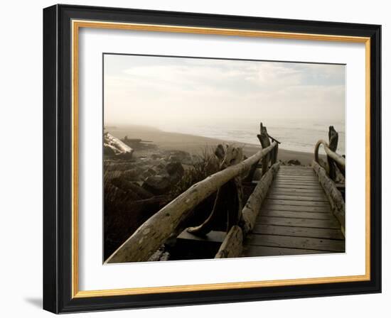 Driftwood Bridge Entrance from Trail, Kalaloch Beach, Olympic National Park, Washington, USA-Trish Drury-Framed Photographic Print