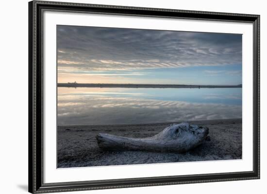 Driftwood Estuary-Nathan Secker-Framed Giclee Print