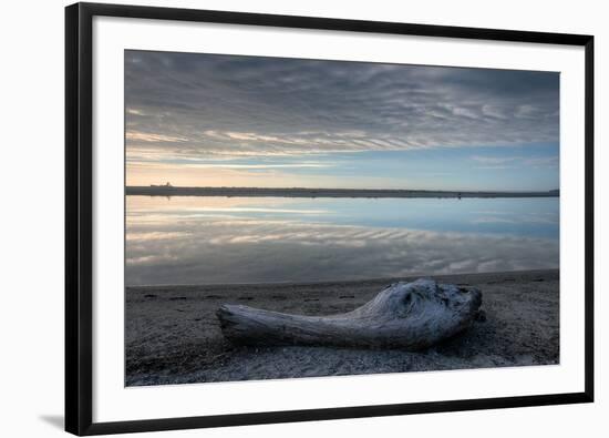 Driftwood Estuary-Nathan Secker-Framed Giclee Print