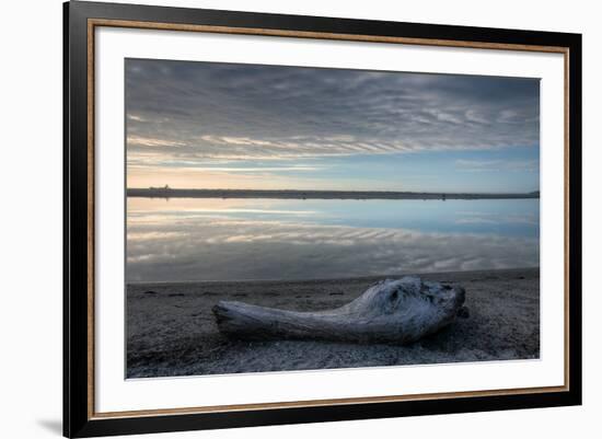 Driftwood Estuary-Nathan Secker-Framed Giclee Print