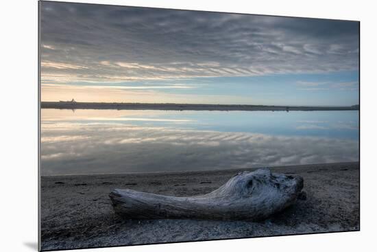 Driftwood Estuary-Nathan Secker-Mounted Giclee Print